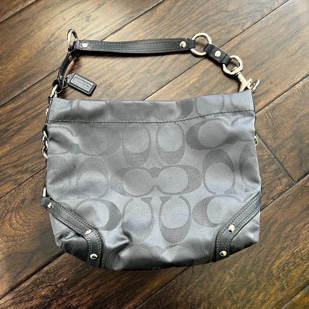 Coach Carly Hobo Bag
